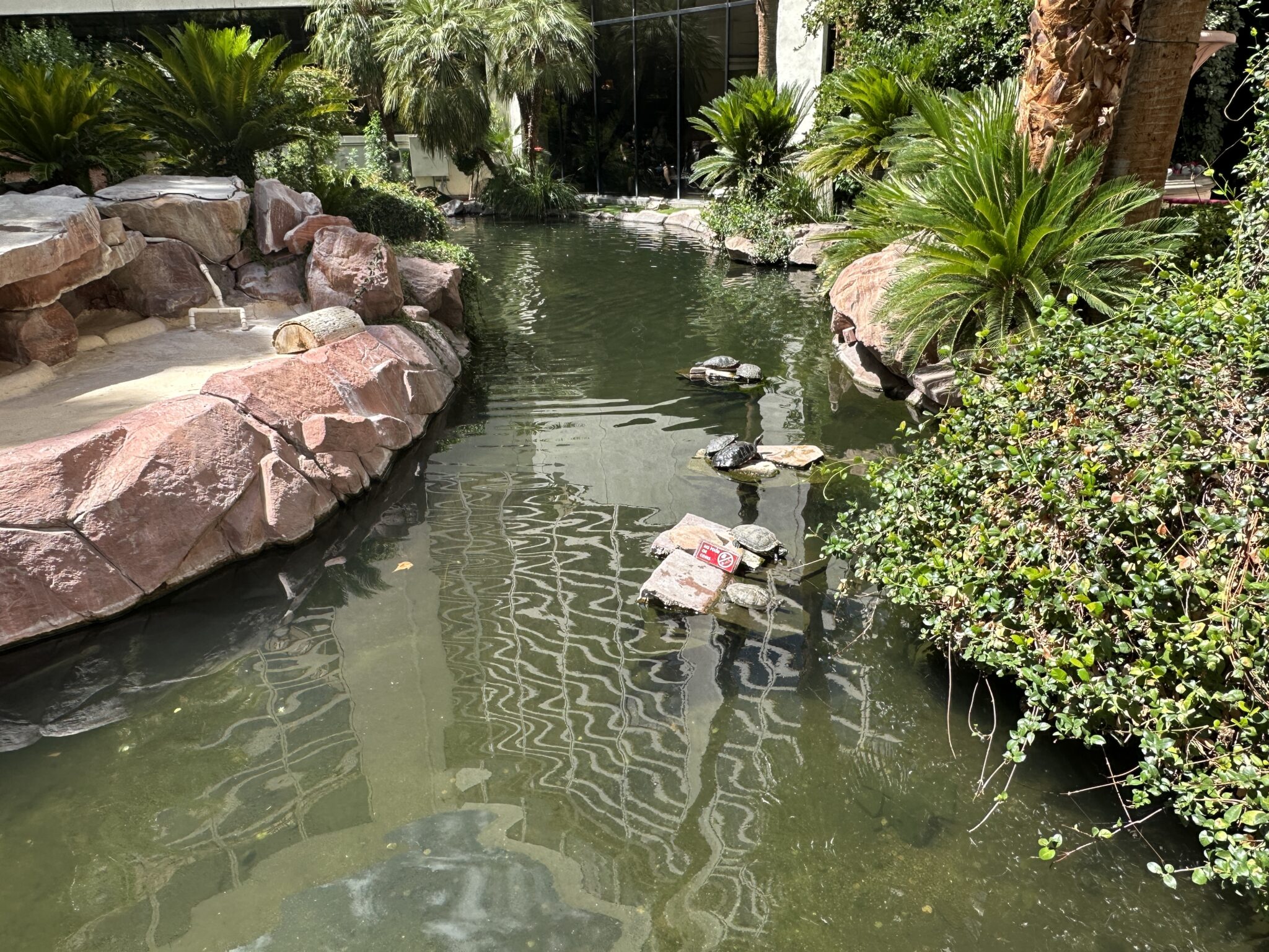 Flamingo Las Vegas Wildlife Habitat The Good & The Stinky