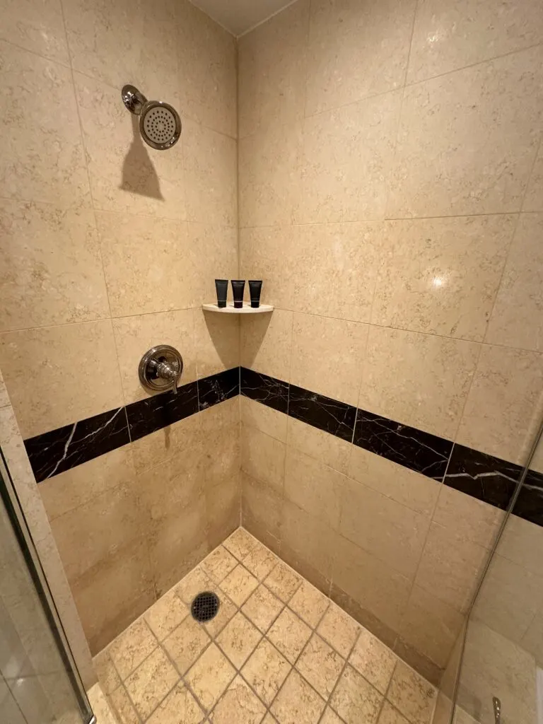 A tall photo that shows the shower from floor to head. 