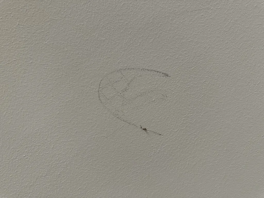 A shoeprint on the ceiling.