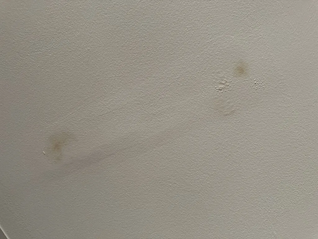 Dark water staining on the ceiling.