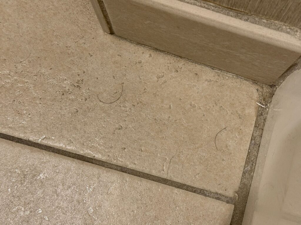 2 hairs on the floor in the corner of the bathroom. 