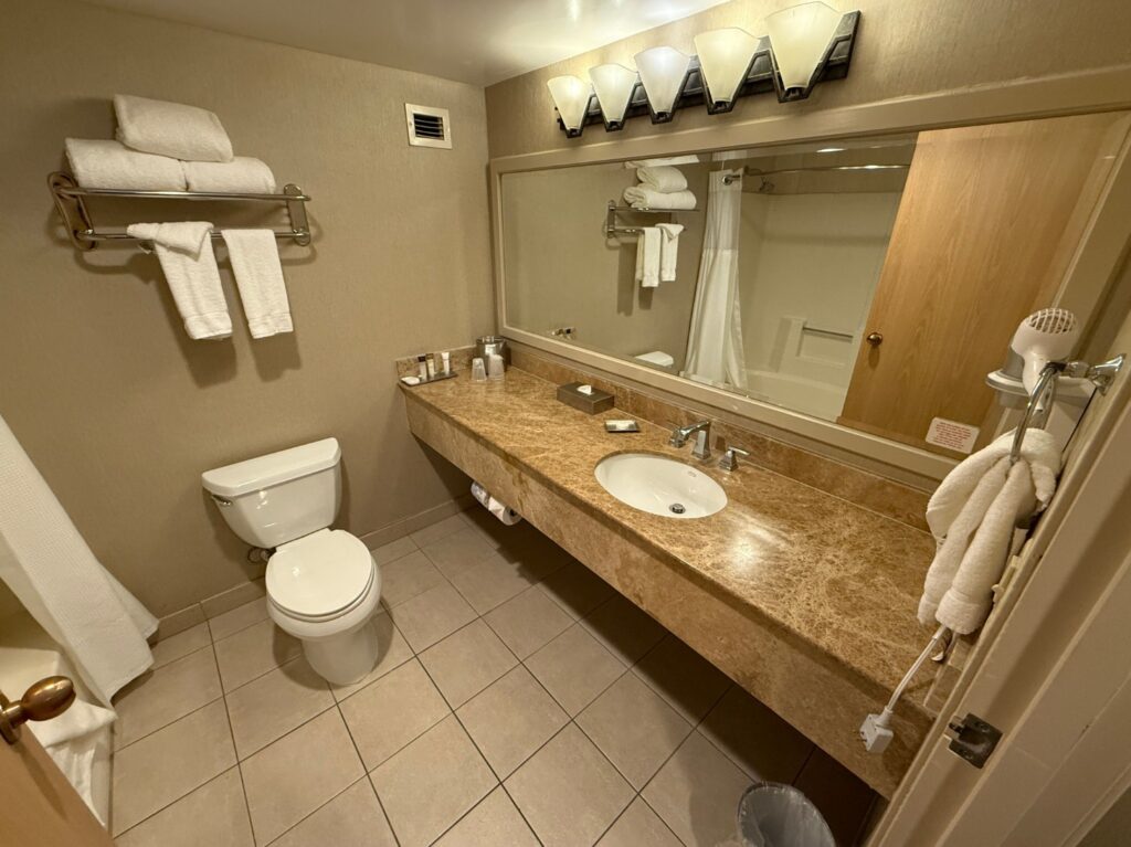 The bathroom, with a toilet and a single sink stone vanity to the right. 