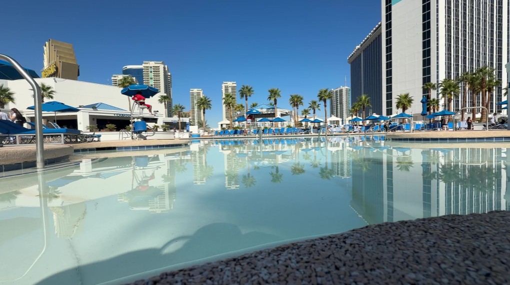 The pool, with palm trees, blue chairs, and the hotel tower in the background. 