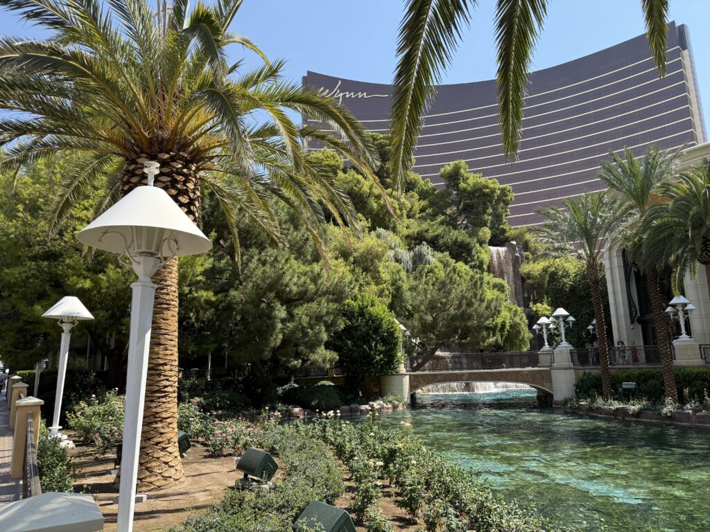 A green tinted pond and palm trees in front of Wynn's tower. 