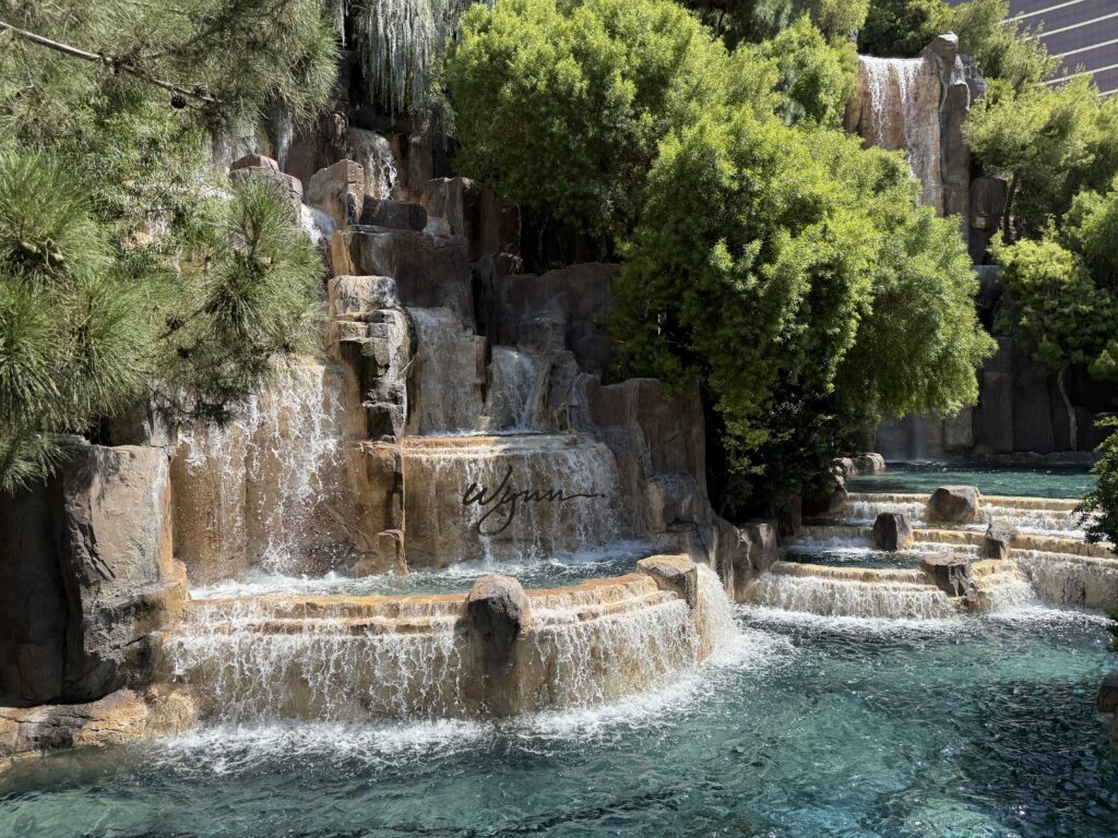 A waterfall surrounded by plant life. 