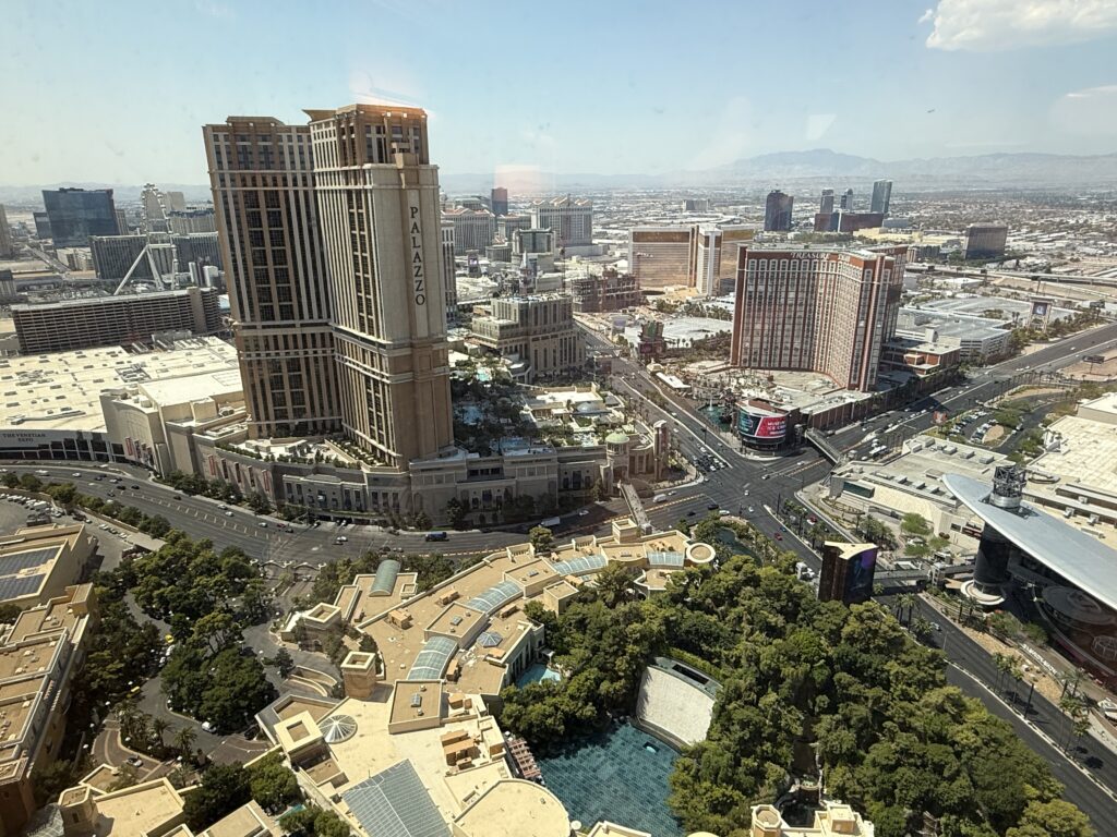 View of the Las Vegas Strip from my room. 