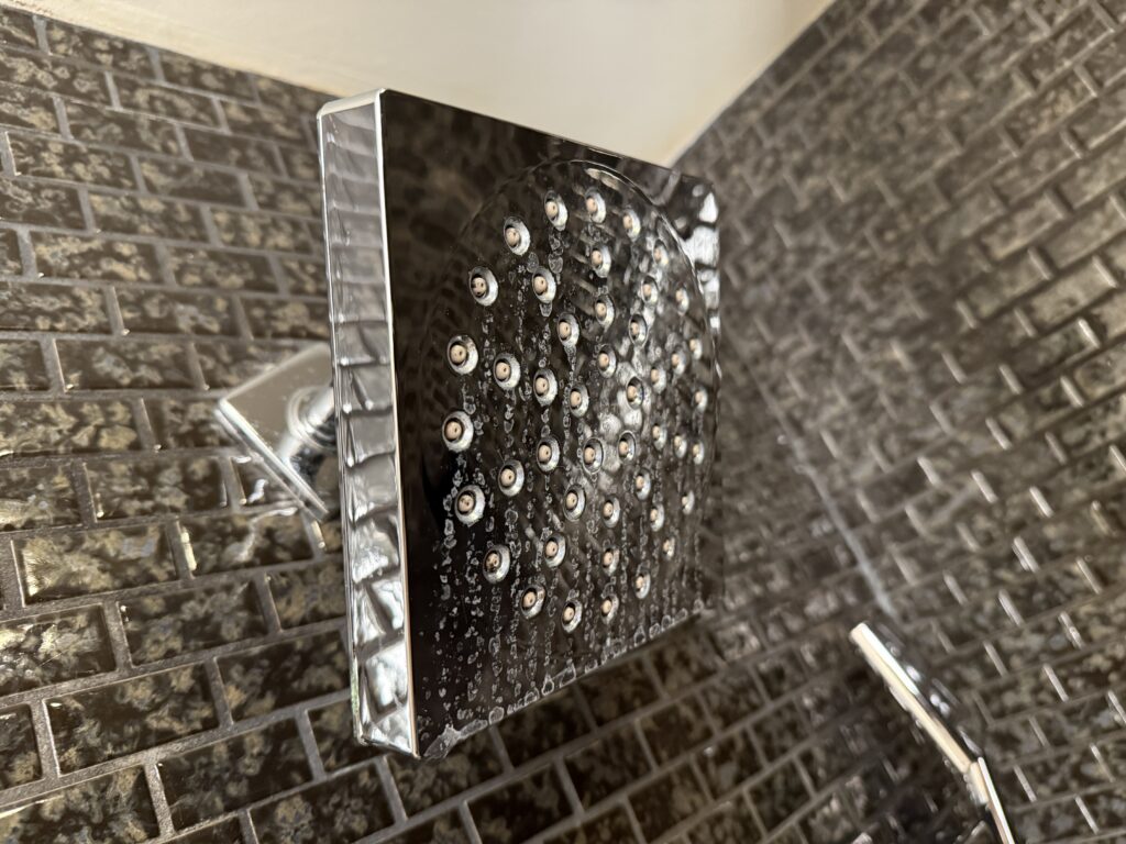 White hard water stains on the showerhead.