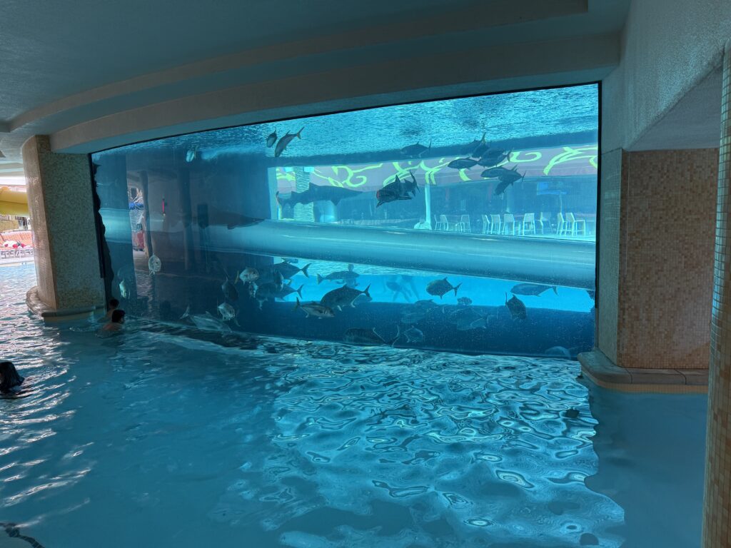 A fishtank in the center of the pool, with a clear waterslide tube cutting through.
