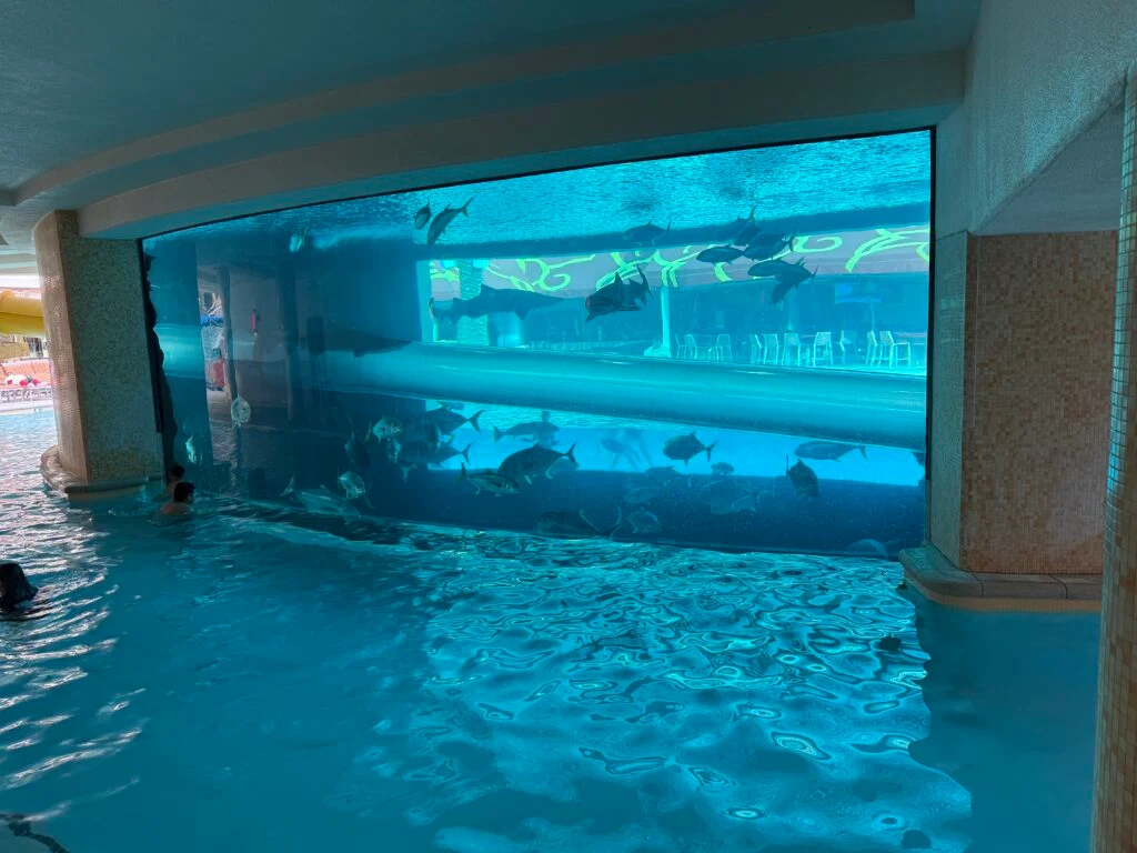 A fishtank in the center of the pool, with a clear waterslide tube cutting through. 
