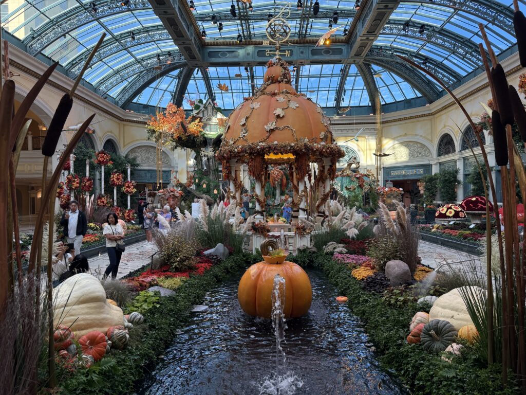 Bellagio Conservatory Fall 2025 Display from a distance.