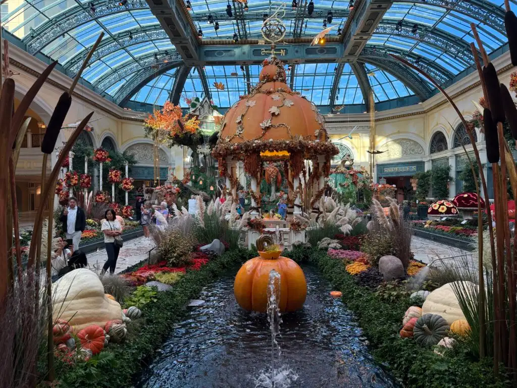 Bellagio Conservatory Fall 2025 Display from a distance. 