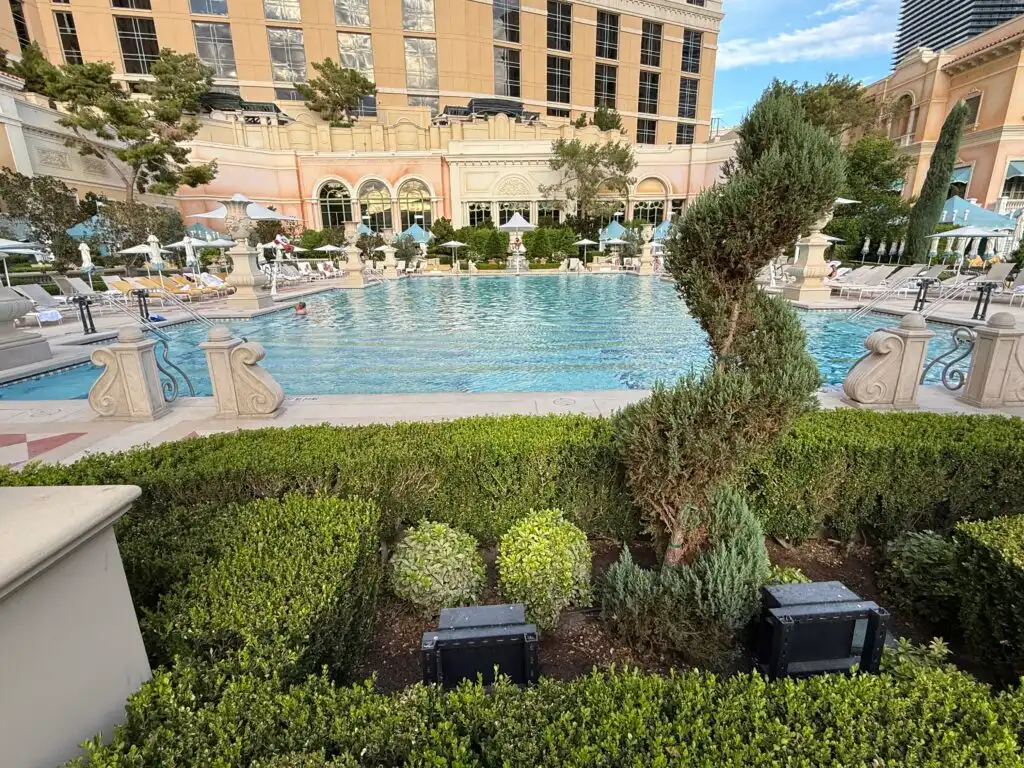 A pool behind plant life, one plant is a manicured bush that extends upward in a spiral shape. 