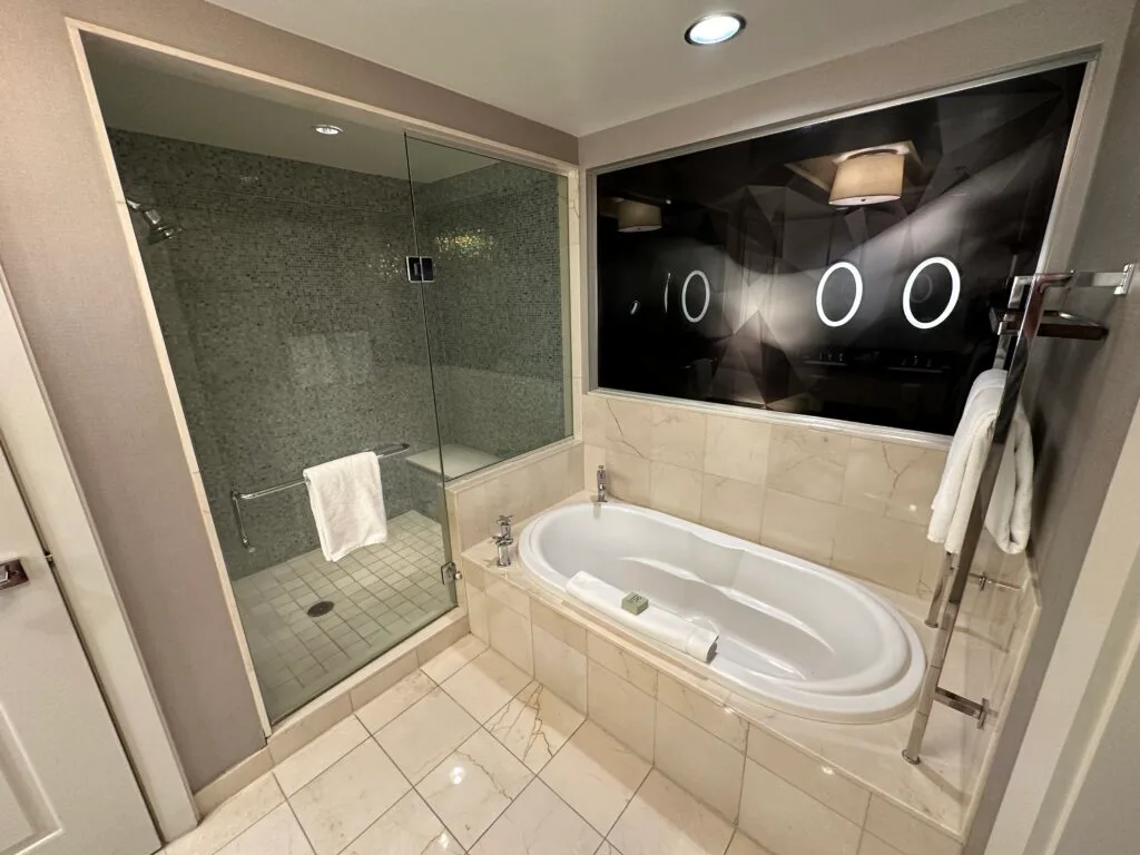 A massive, glass enclosed shower to the left and a stand alone bathtub to the right. 