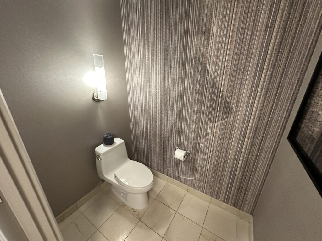 A toilet, in a small room with wallpaper that shows the silouhuette of a woman's face.