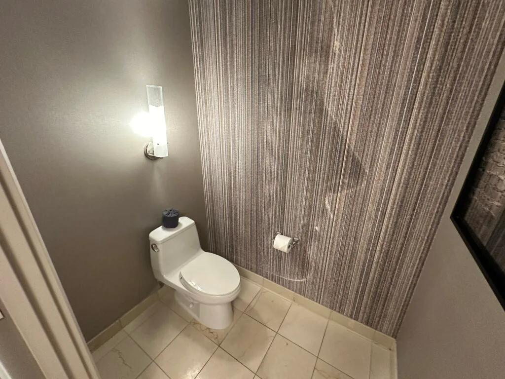 A toilet, in a small room with wallpaper that shows the silouhuette of a woman's face. 