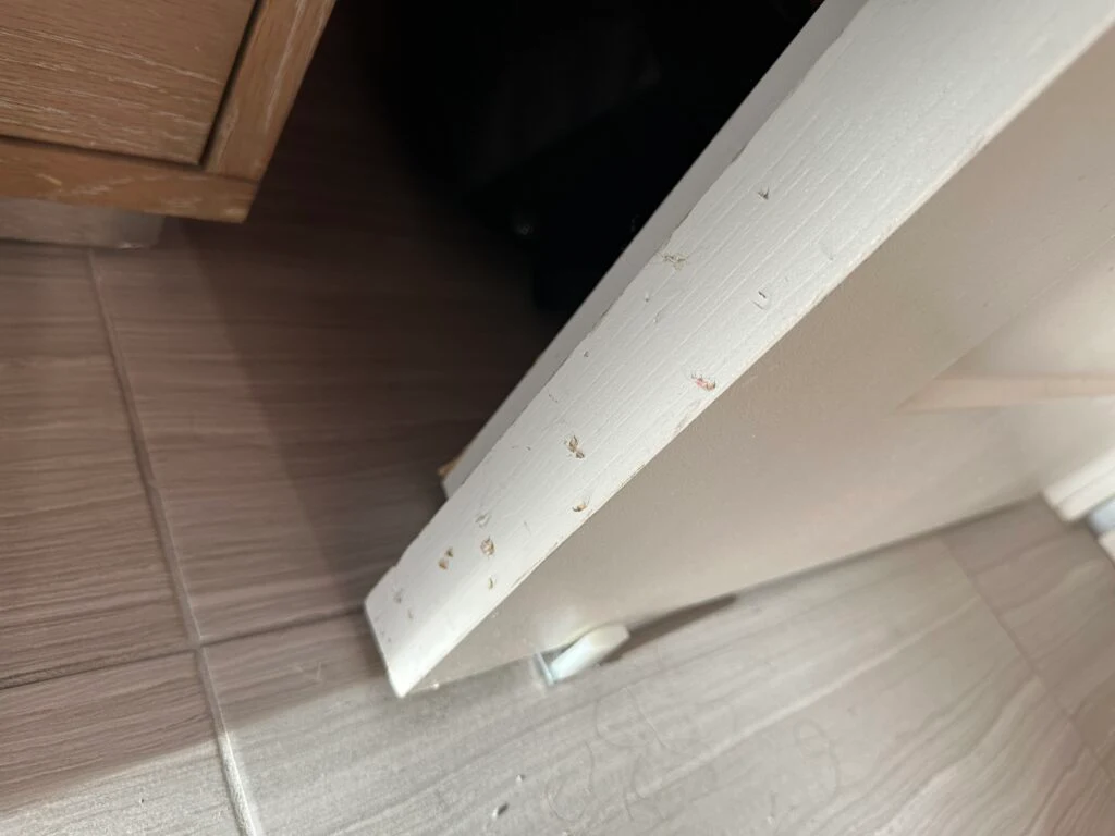 dings and knicks in the closet door. 