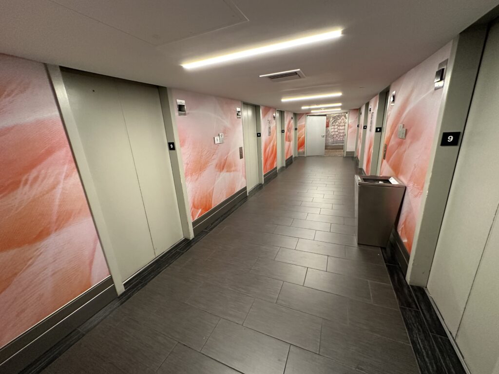 Elevator lobby with pink walls and a very industrial look.