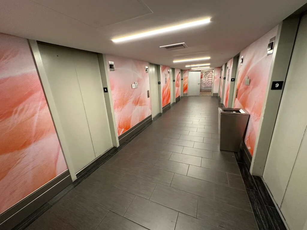 Elevator lobby with pink walls and a very industrial look. 