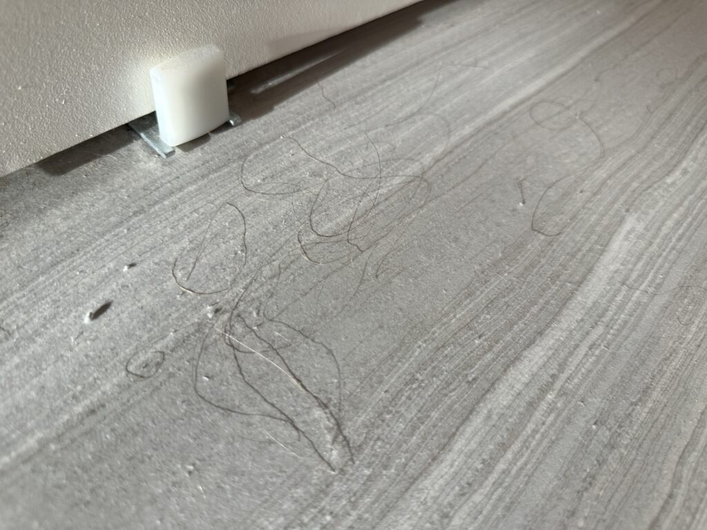 A bunch of hair and dust on the floor.