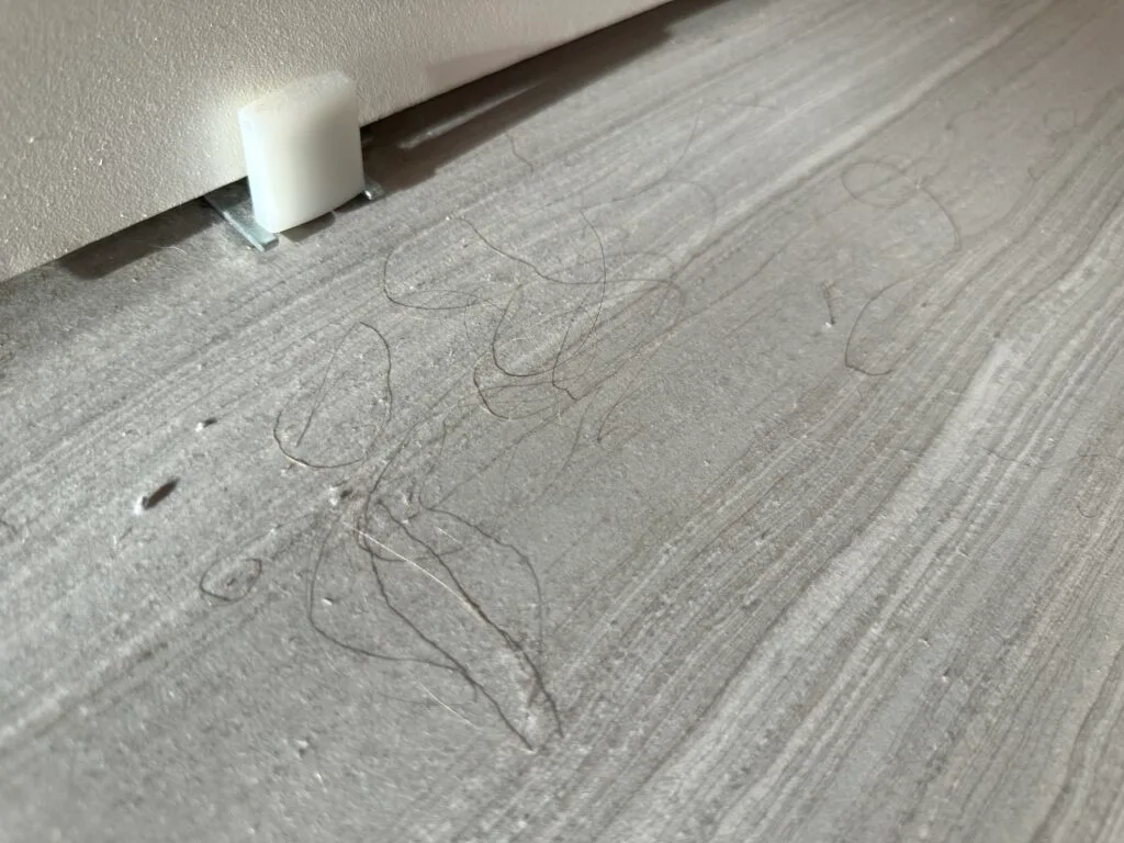 A bunch of hair and dust on the floor. 