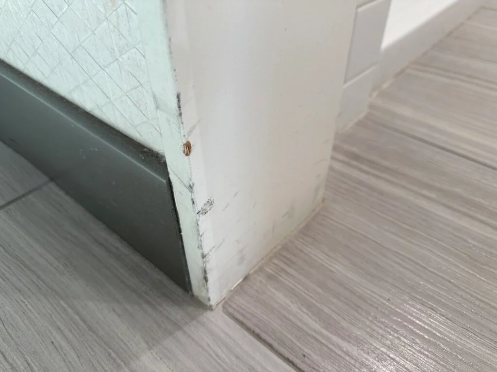 dark scuffs on the base of a doorframe. 