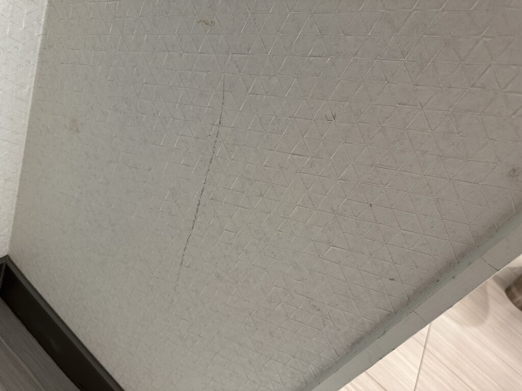 A long black scuff on the wall.