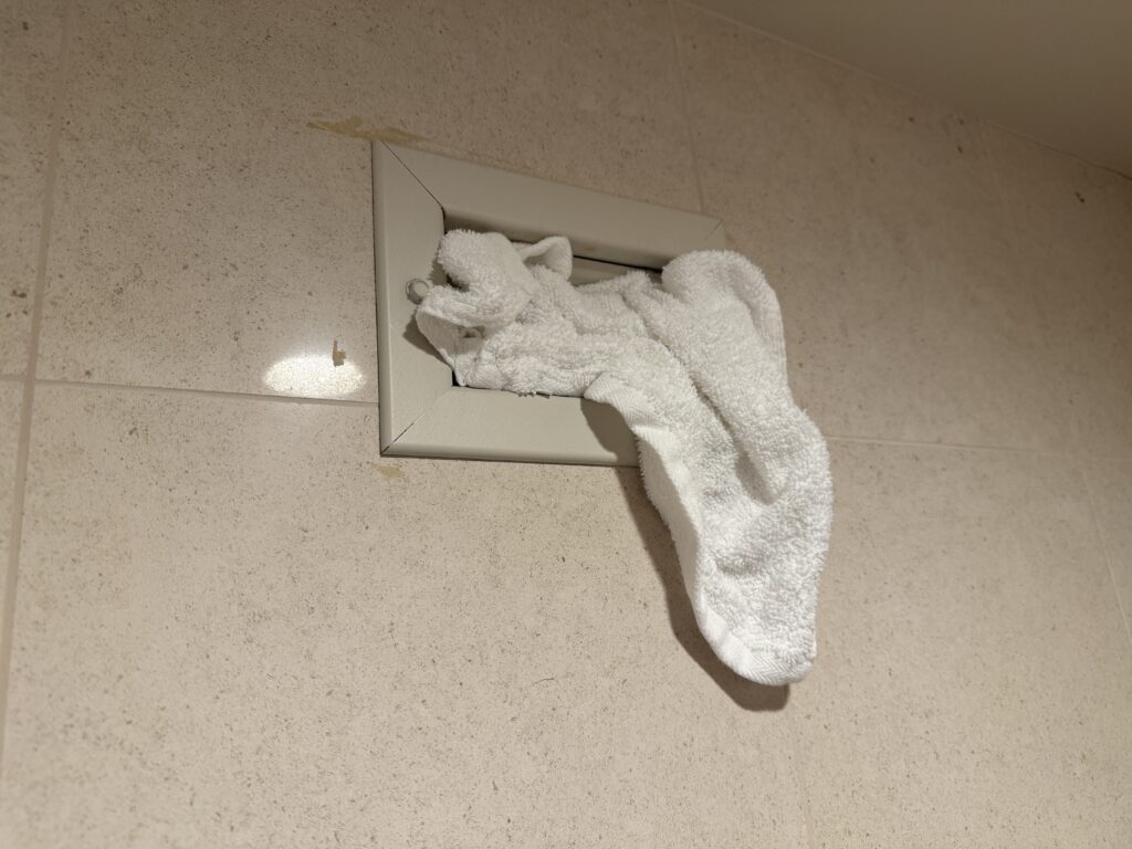 A rag shoved into a vent above the toilet.