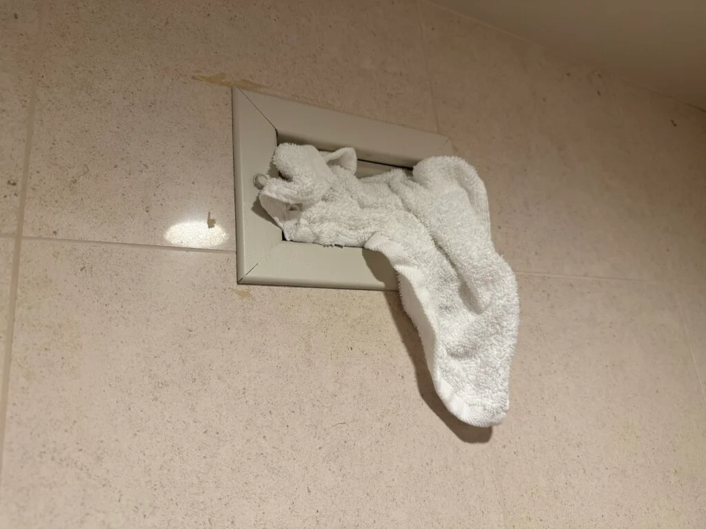 A rag shoved into a vent above the toilet. 