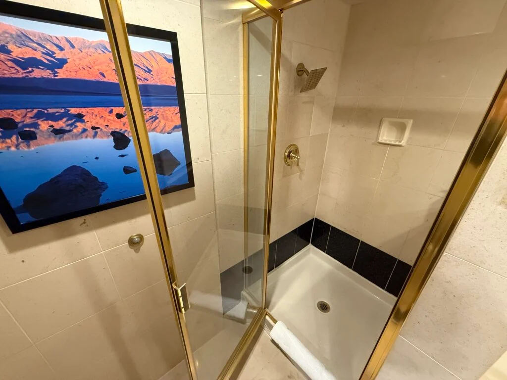 A small, glass enclosed shower with brass accents.