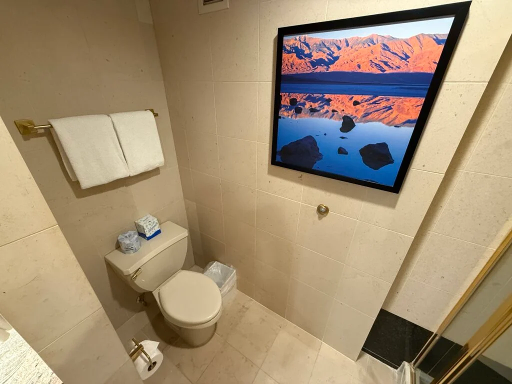 A toilet positioned underneath a picture of a lake in the Mojave Desert.