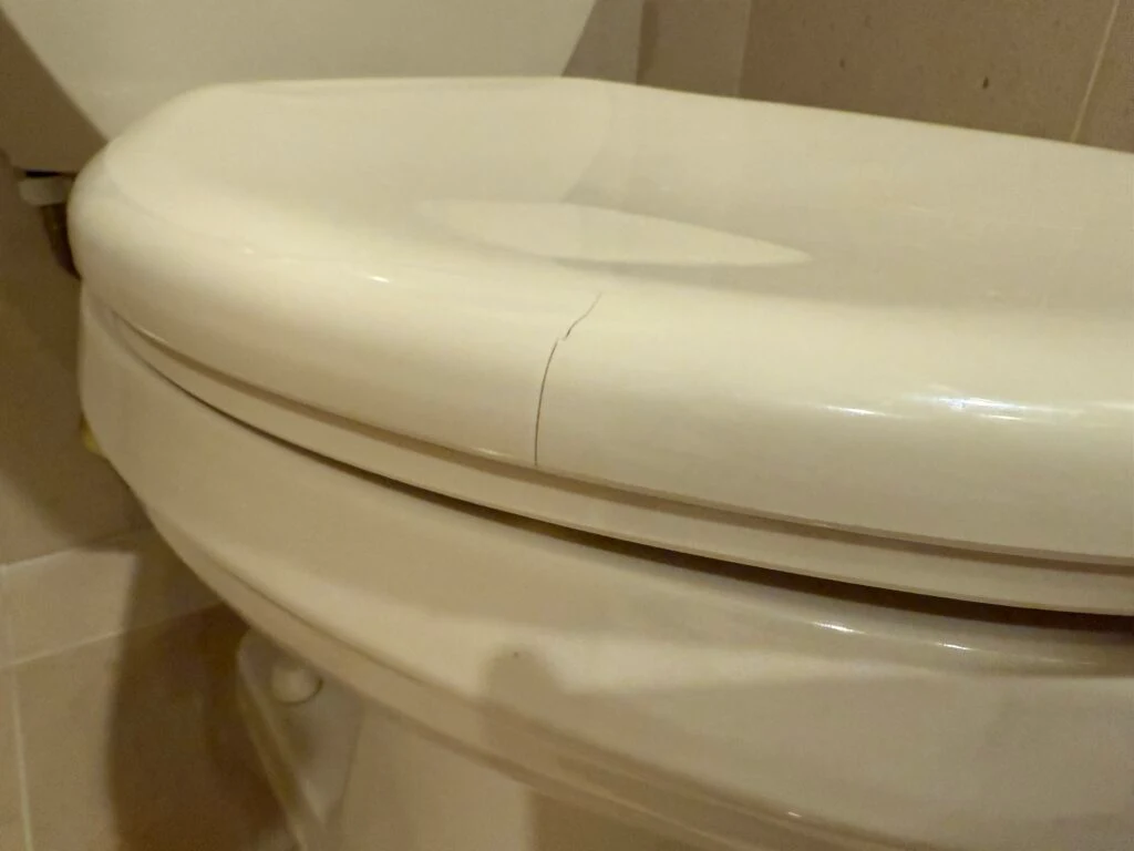 A hairline crack in the toilet lid.