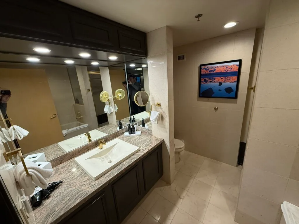 A single sink vanity in the foreground with the toilet peeking out in the background.