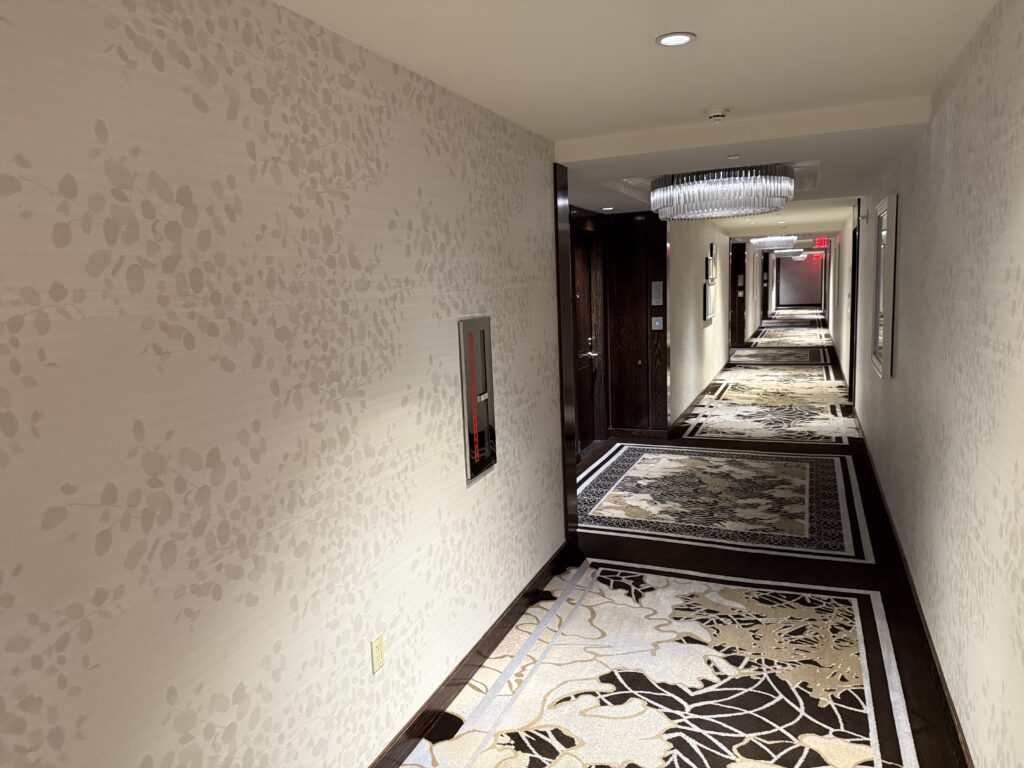 The hotel hallway, witha dark floral carpeting.