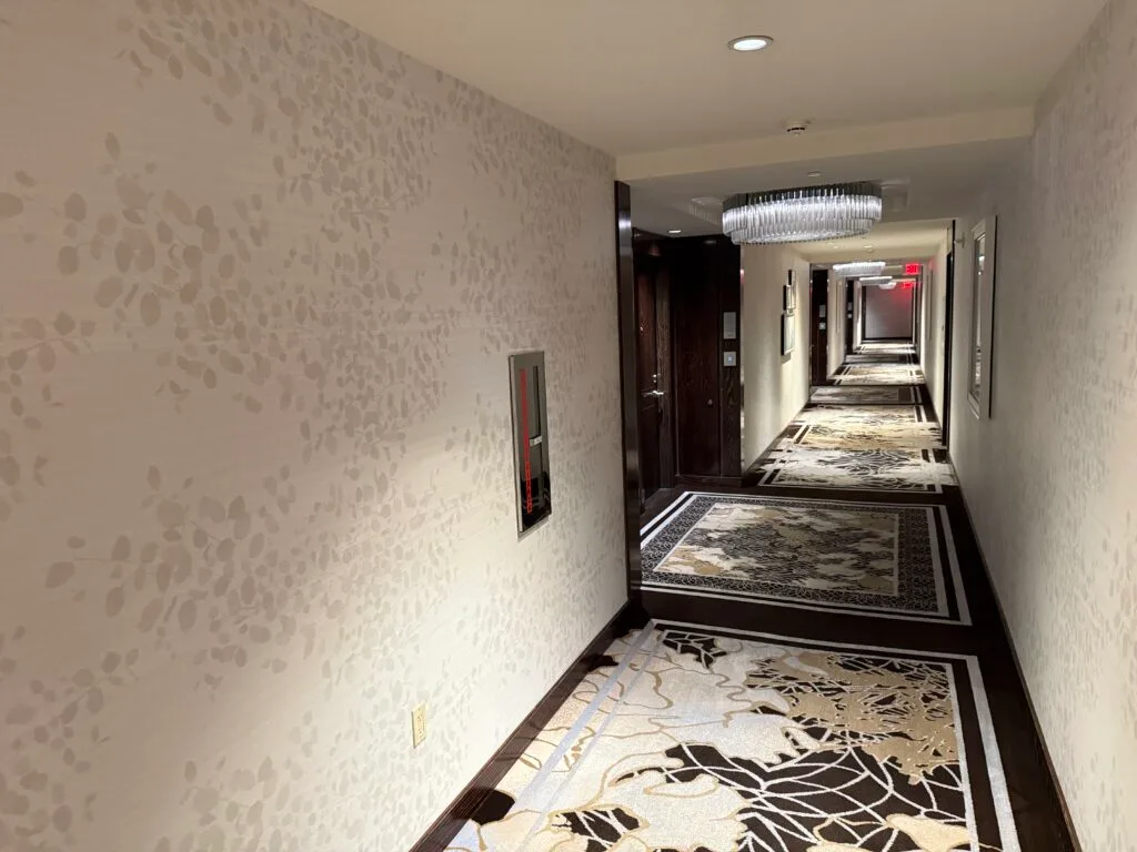 The hotel hallway, witha dark floral carpeting. 