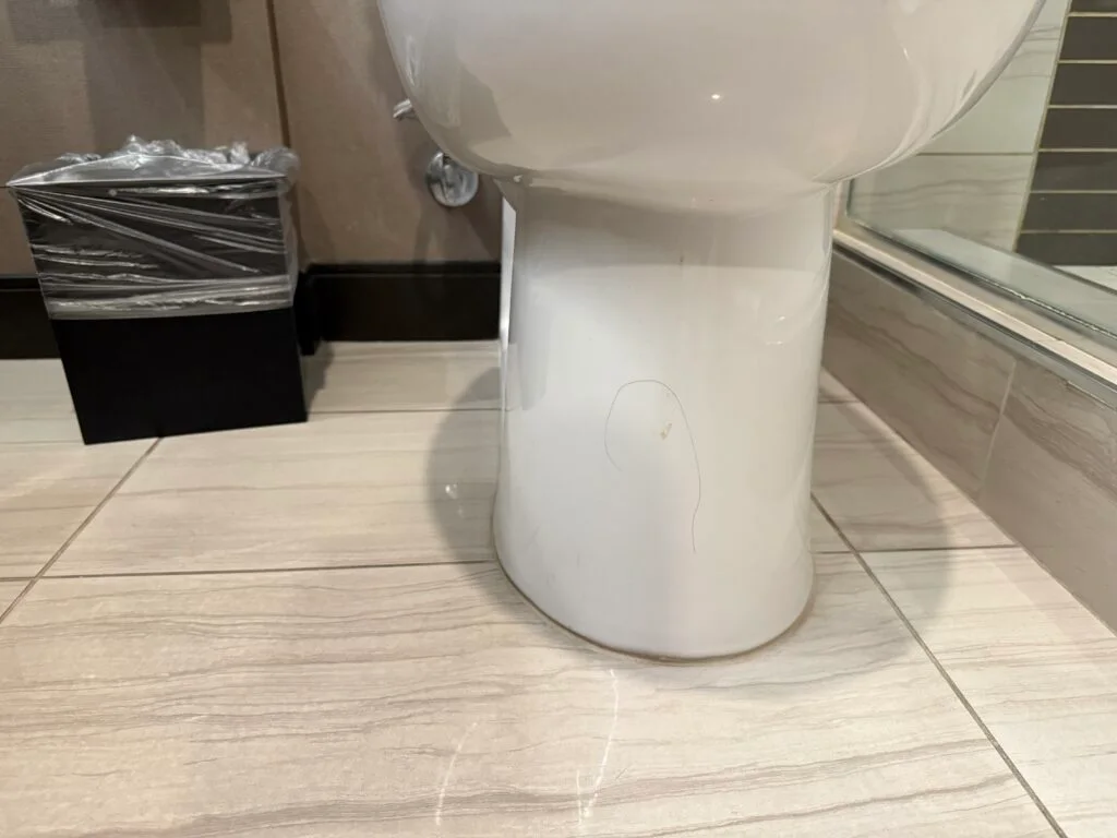 A long dark hair stuck to the base of the toilet. 