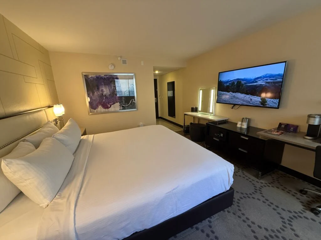 A closer shot of the TV view from Bed, the entry to the room in the background. 