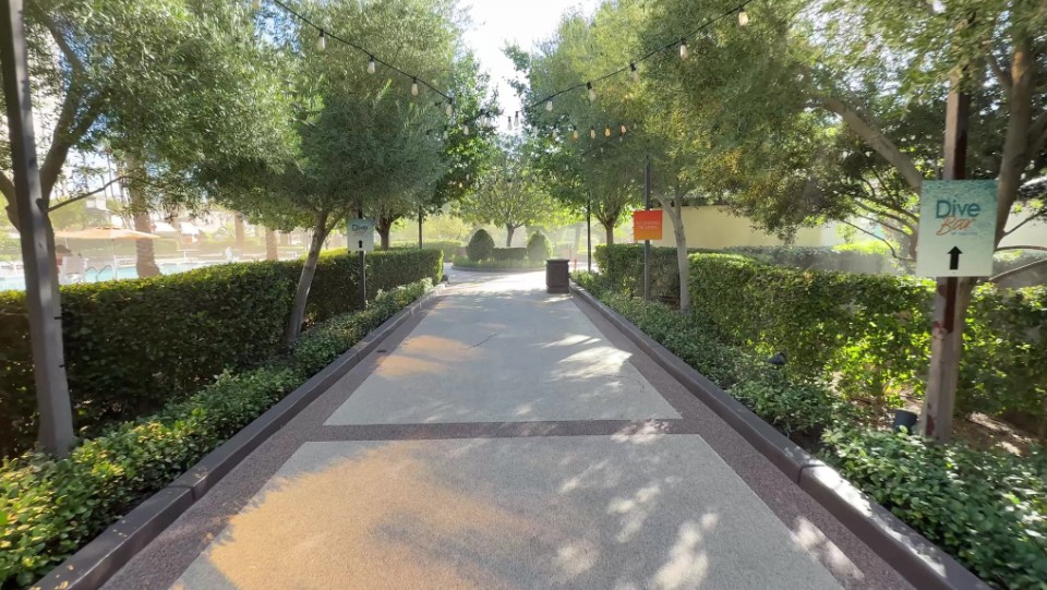 A pathway cuts through trees at the pool.