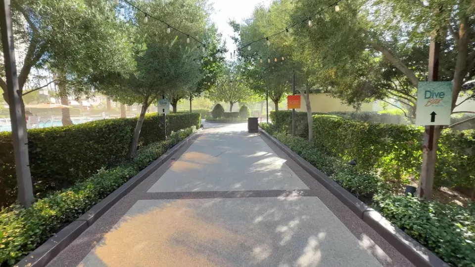 A pathway cuts through trees at the pool. 