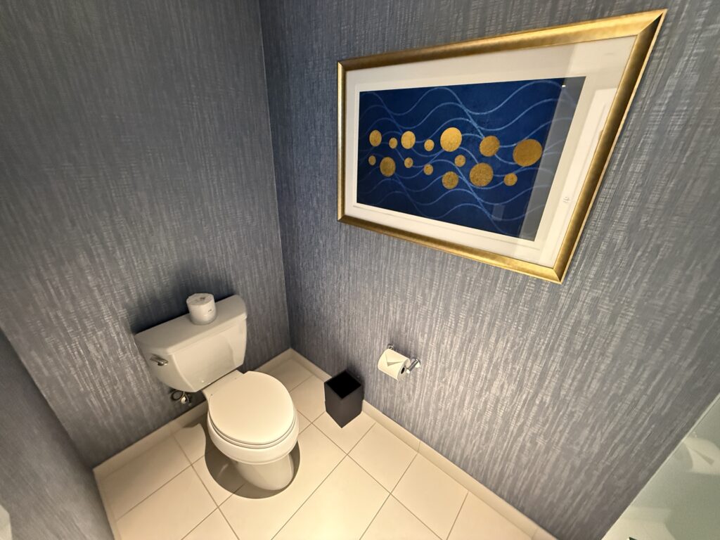 The water closet, with a toilet. 