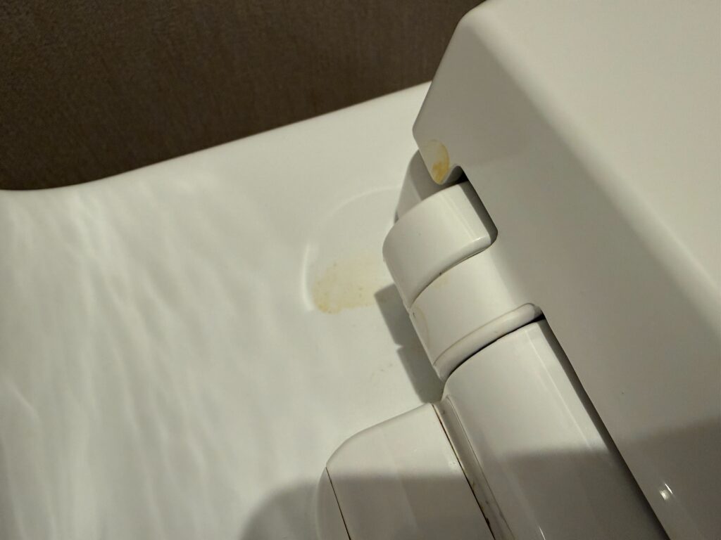 Urine on the toilet.