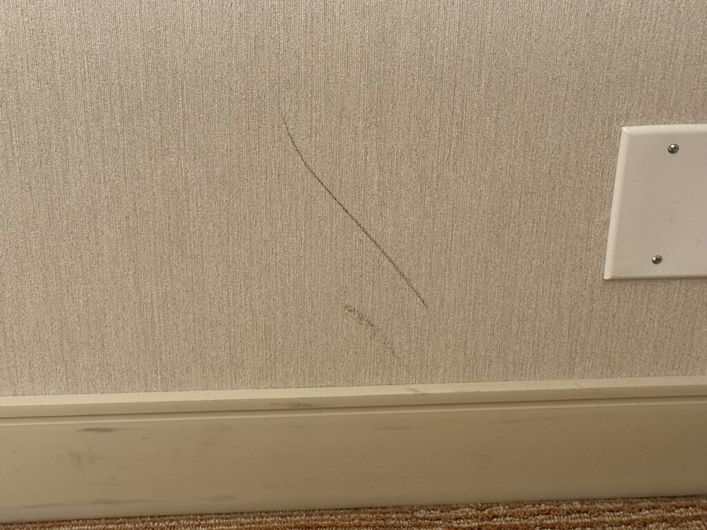 A big scuff on the wall.