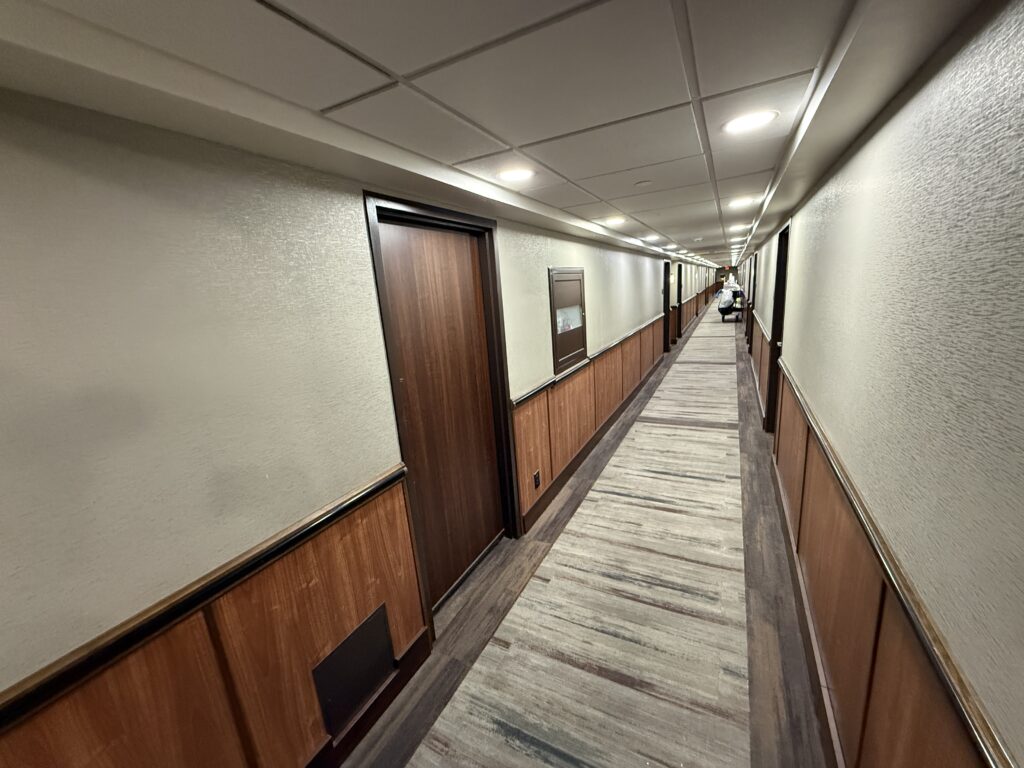 A hotel hallway, with fresh carpet and paint.