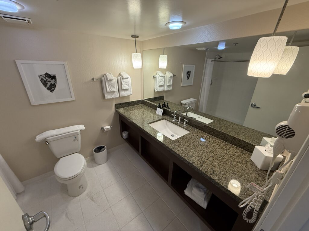 A single sink vanity, topped by a mirror. To the left is a toilet. 