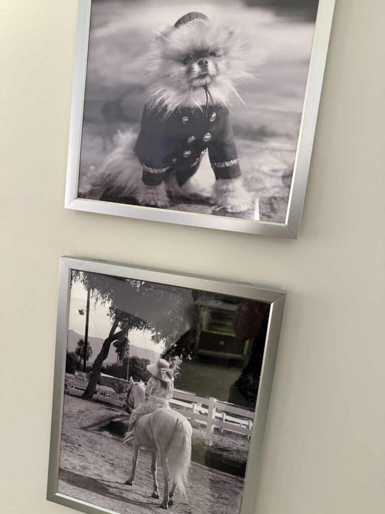 Pictures of Vanderpump's dog on the wall. 