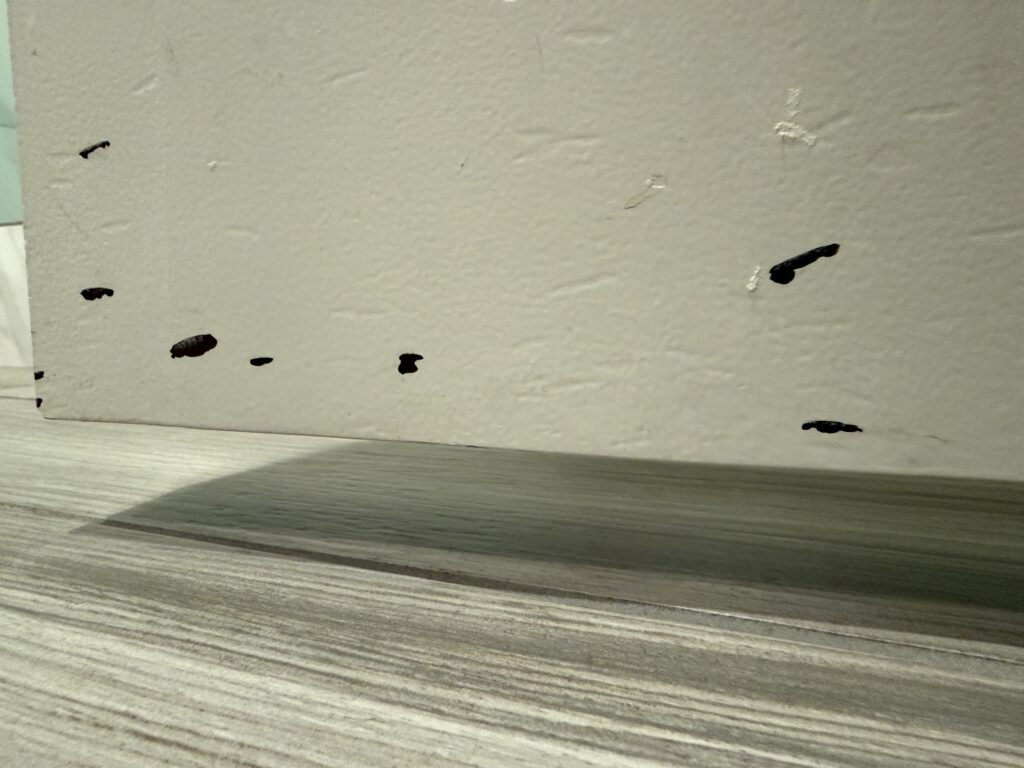 Bottom of the bathroom door, which is painted an off-white color, with chips out of the paint. 