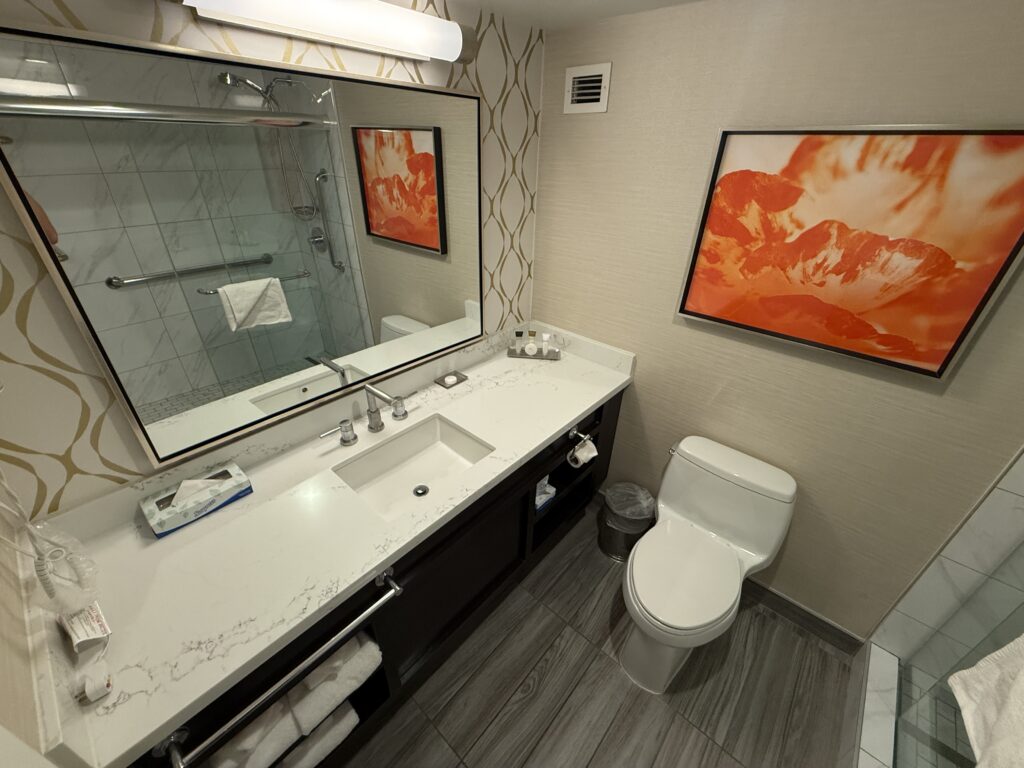 A single sink vanity topped by a mirror and light fixture. A toilet sits below a red paining to the right. 