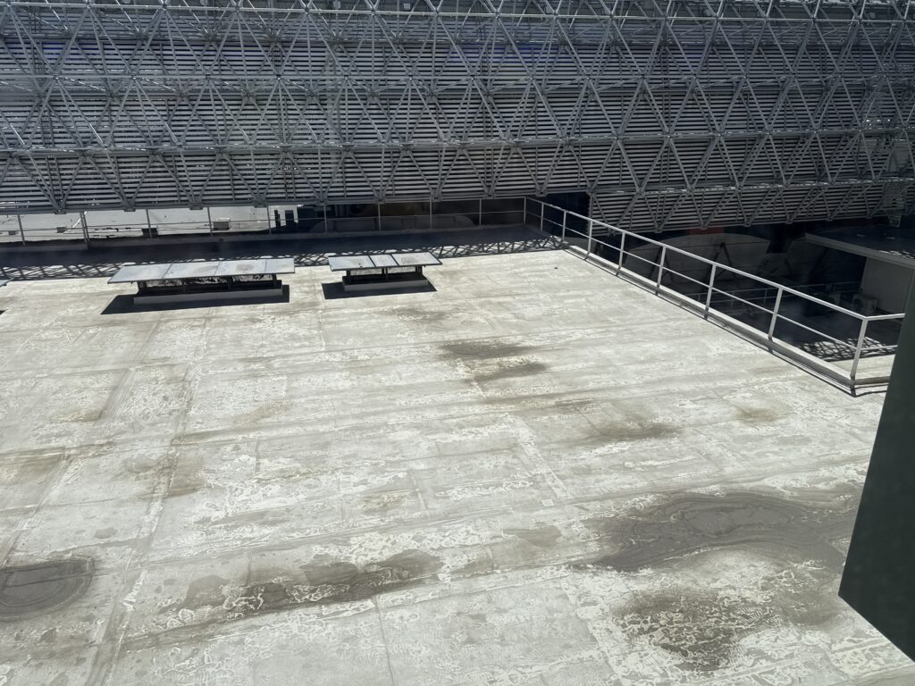 The casino roof, with the Fremont Street Canopy visible about 25 feet away. 