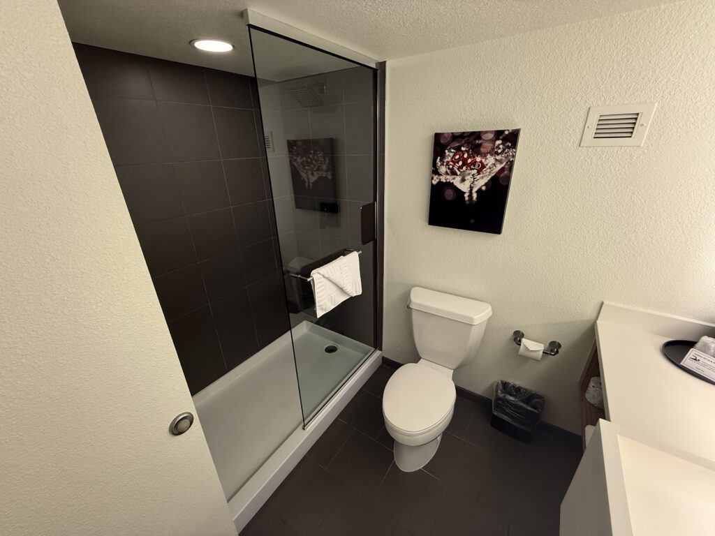 A shower to the left with a half glass wall dividing it from a toilet to it's right.
