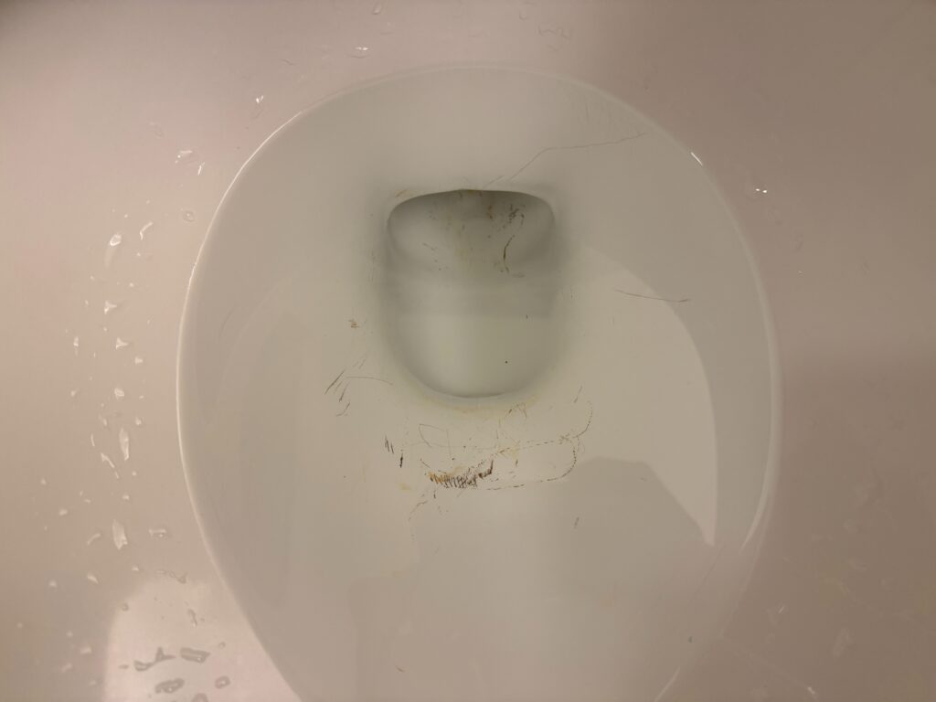 Inside a toilet, which has a lot of metalic scrapes in it.