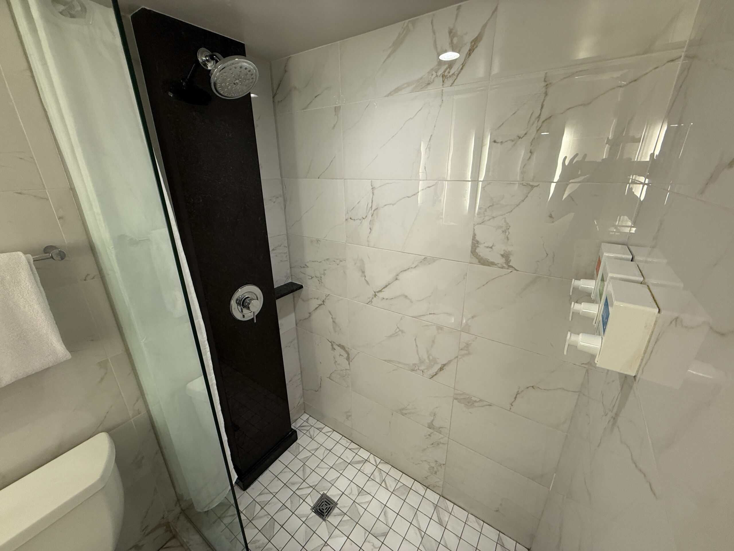 The shower, which has ½ glass and a shower curtain.
